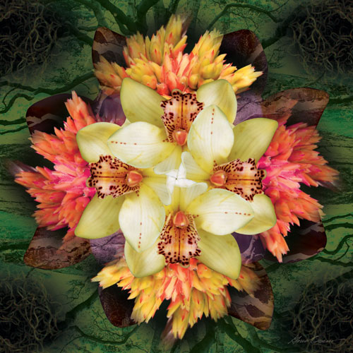 Orchid Mandala
